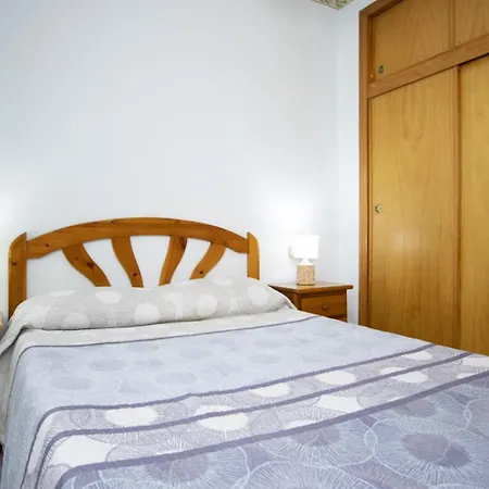 Jacarilla Id194 * Torrevieja