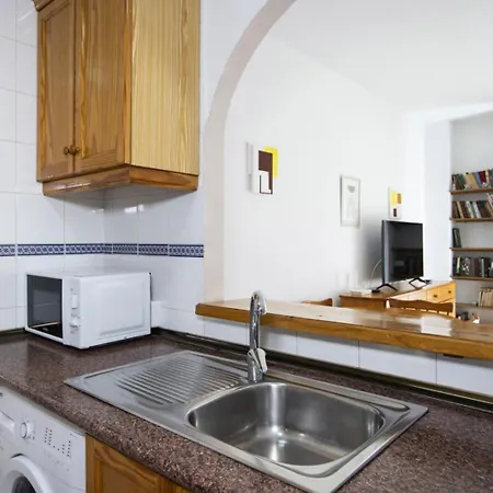 Jacarilla Id194 Torrevieja