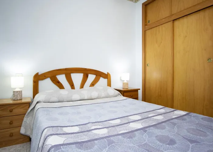 Jacarilla Id194 * Torrevieja